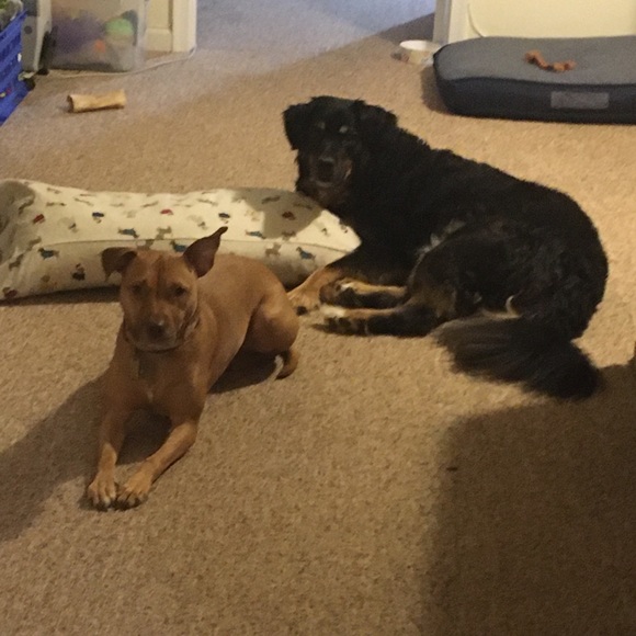 Meet your Posher, Stephanie - Picture 4 of 17